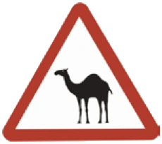 Kuwait sign 532: Beware animals